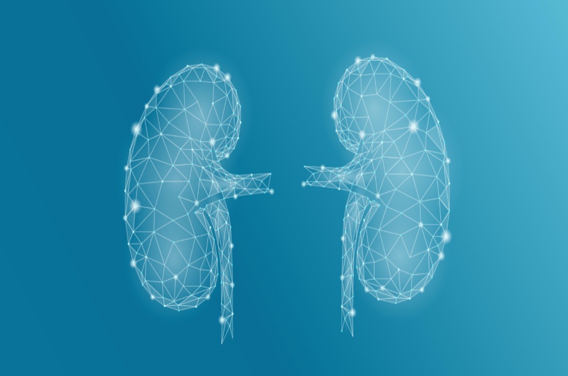 Chronic Kidney Disease